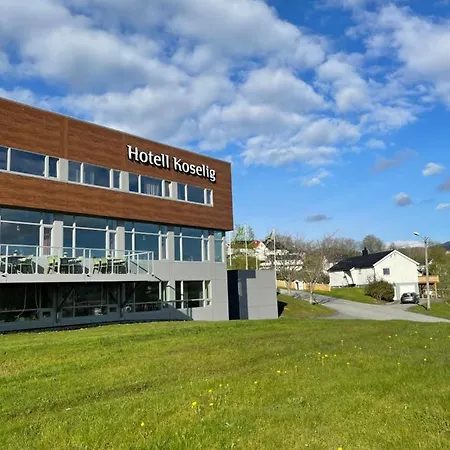 Koselig 3* Kyrksæterøra